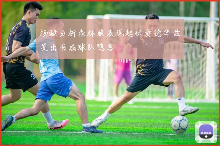 杨毅分析森林狼表现起伏爱德华兹复出或成球队隐患